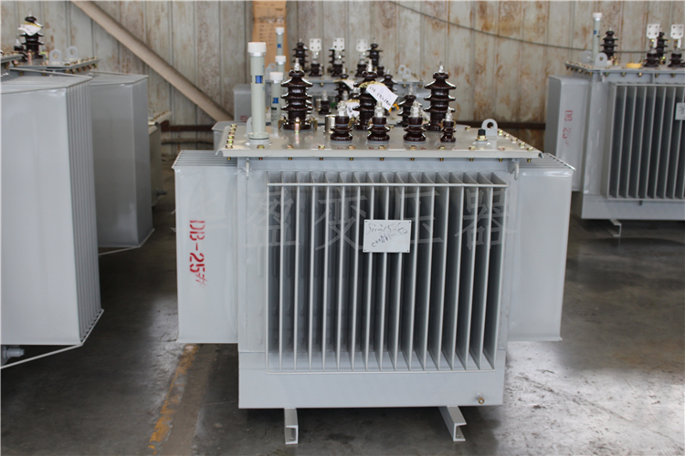 佳木斯S20-800kVA/10kV/0.4kV变压器